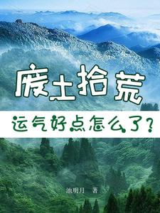 废土拾荒，运气好点怎么了？-最新章节-第319章